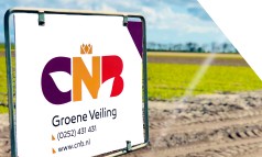 News image: Informatie Groen Veilen 2022